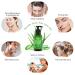Aloe Vera Gel 300ml - Cveenk Bio Cream for Dry Skin Sunburn Relief & Natural Moisturizer for Face Hair & Body - International Shipping Available - Buy Online on GoSupps.com