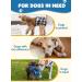 Peton Reusable Dog Diapers - 3 Pack | Hygienic & Washable Dog Diapers for Bitches | Adjustable Fit with Boost Pads for Period & Urinary Incontinence (Large) - Blue & Gray - Buy Online on GoSupps.com