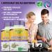 Organic Artichoke - 90 Capsules - Natural Detox - 100% Organic and Made in France - Slimming Organic Artichoke to Activate Transit and Protect the Liver - Buy Online on GoSupps.com
