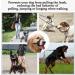 Durable Dog Head Necklace for Labrador - No Pulling Soft Upholstery XL Rosa/Schwarz with Training Instructions - Buy Online on GoSupps.com