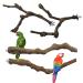 Allazone 4 PCS Natural Grape Stick Fork Bird Perch Bird Standing Stick Chewing Bird Toys Natural Grapevine Bird Cage Perch for Parrot Cages Toy for Cockatiels, Parakeets, Finches 1