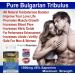 Tribulus Terrestris Bulgarian 1500mg | 45% Saponins | With Lecithin | 180 Capsules - Buy Online on GoSupps.com