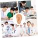 Silicone Ear Model - Simulation Silica Gel Beige Eft Ear Teaching Tool - Buy Online on GoSupps.com