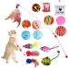 GOLDGE 16 Pieces Cat Toys Cat Toys Variety Toy Set Feather Toys Balls Various Toys for Cat Kitty
