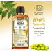  Plan te au Naturel Organic Neem Oil 250ml - Cosmos Organic - Natureen | Plan te au Naturel - 100% Pure and Natural - Face Body Scalp - Buy Online on GoSupps.com
