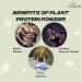 MYHERBS Plant Protein Powder | Pea and Brown Rice Protein Powder | Vegan High Protein Powder | 27 gm Protien 21 Vital 6 gm BCCAs | Sugar Free | for Men and Women | Chocolate Flavour (1 Kg) - Buy Online on GoSupps.com