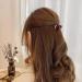 Cobahom 12 Pcs Mini Hair Clips for Styling - Black and Brown Hair Claws for Women and Girls - Buy Online on GoSupps.com