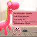 Baby Teething Toy Set - Pink Pacifier Clip, Giraffe & Bear Teethers - BPA Free Silicone Chew Toys for Infants - Freezer Safe - Buy Online on GoSupps.com
