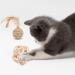 Shengruili Sisal Ball Catz - 6 Eco-Friendly Interactive Cat Toy Balls for Playful Pets - Buy Online on GoSupps.com