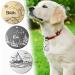 Personalized Kodinsiivous Dog Brand Tag - Engraved Stainless Steel Collar Rounder 30mm - Custom Name & Design for Dogs & Cats (Black) - Buy Online on GoSupps.com