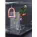 Feathered Phonics The Seed Guard, Small