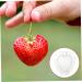 POPETPOP 15 Pcs Fruit Shaping Mold Vegetable Growing Mold Fruit Protection Pear Mold White Gourd Garden Tools 4.5x4cmx3pcs Whitex3pcs - Buy Online on GoSupps.com