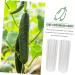 Milisten 6 Pcs Vegetable Shaping Fruit Cucumber Styling Mushroom Picking Garden Square - Buy Online on GoSupps.com