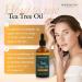HerbOrganic Tea Tree Oil 100ml - Organic Antiseptic for Acne, Redness, Pimples & Nail Fungus - Aromatherapy - Buy Online on GoSupps.com