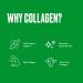 BulletProof Collagen Protein Unflavored - 8.5 oz (240g) for Optimal Health - Buy Online on GoSupps.com