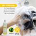 Dr. Robaina Sulfur Shampoo & Body Wash - Psoriasis Relief | Soothes Itching & Redness | Sensitive Skin Formula - 24 oz - Buy Online on GoSupps.com