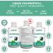 Liquid Chlorophyll Mint Cold Extracted from Non-GMO Alfalfa - Detox - Alkaline - Natural Body Deodorant Antioxidant - Made in Canada (Pack of 2) 500 ml (Pack of 2) - Buy Online on GoSupps.com