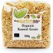 Organic Kamut Grain 500g (BWFO) - Buy Online on GoSupps.com
