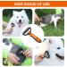 Peteola 2-Sided Undercoat Rake for Cats & Dogs - Shedding Tool for Safe Grooming - Orange - Buy Online on GoSupps.com