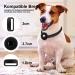 Shop Linteker Protective Cover for Apple Airtag - Durable Black & Blue GPS Case for Dog & Cat Collars | Pet Accessories - Buy Online on GoSupps.com