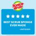 Scotch-Brite Non-Scratch Scrub Sponges - 3 Pack for Dishes & Kitchen Cleaning - Buy Online on GoSupps.com