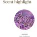 Young Living Lavender Essential Oil 5ml - 100% Pure Aromatherapy for Relaxation & Unwinding - Calming Essential Oil for DIY Wellness Recipes - Buy Online on GoSupps.com