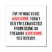 Funny Awesome Amazing Self-Motivations Inspirational Saying Humorous Motive Sayings Confident Uplifting Funny Magnets 3" 3"