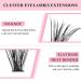 280pcs Fenshine Cluster Eyelash Extensions | Mixed 30D+40D | 0.07D Curl | 9-15mm | Soft Individual Lashes | Natural False Eyelashes - Buy Online on GoSupps.com