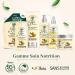 LE PETIT OLIVIER - Eco-Refill Shampoo Cream Nutrition Care - Olive Shea & Argan Oils - Nourishes & Repairs - Dry & Damaged Hair - Silicone-Free Sulfate-Free - Made in France - 500ml - Buy Online on GoSupps.com