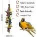 Chikanb 7-Pack Parrot Toys African Grey Parrots Swing Chewing Hanging Toy Colorful Bell Hammock Ladder Perch Platform Chewing Toys for Parakeets Cockatiels Macaws Love Birds Finches Little Birds - Buy Online on GoSupps.com