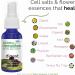 Siddha Remedies Digest Spray | Natural Homeopathic Relief for Indigestion Heartburn Nausea | 100% Plant Based No Alcohol No Sugar - Buy Online on GoSupps.com