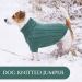 Warm Winter Dog Sweater for Big Dogs - Fleece Christmas Sweater for French Bulldogs | Blue Green Size SS - Buy Online on GoSupps.com