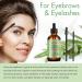 Organic Rosemary Oil for Hair Growth & Scalp Strengthening - 2 Fl Oz (60 ml) - Nourishing Hair Care Treatment - Aromatherapy for Skin & Face - Buy Online on GoSupps.com