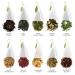 Tea Forte Assorted Classic Teas Petite Presentation Box Sampler Gift Set | 10 Handcrafted Pyramid Tea Infusers - Herbal, Black, Green, White - Buy Online on GoSupps.com