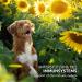 Aniforte Bladder Formula for Dogs - 100g | Supports Bladder Function & Reduces Urine Loss - Buy Online on GoSupps.com