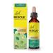 RESCUE - Compte-Gouttes - Pomme Menthe - Sans alcool - M lange de 5 Fleurs de Bach Original - Id al pour les stress du quotidien : voyages examens r unions journ es charg es - Flacon 20ml