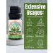 Lily of The Valley Absolute Oil 0.33 fl oz - Pure Convallaria majalis Essential Oil for Aromatherapy & Skin Care - Shop Internationally - Buy Online on GoSupps.com