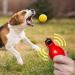Handpipe Sports Lessons: 2-Piece Trill Whistle Set for Referees Dog Trainers & Coaches - Essential Training Accessories - Buy Online on GoSupps.com