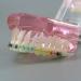 HDGRNCC Dental Orthodontic Brackets Model - Metal Ceramic Self-Ceramic Bracket for Training | International Shipping - Buy Online on GoSupps.com