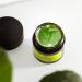 The Body Shop HEMP Overnight Nourishing Rescue Mask 75 ml - Intense Hydration for All Skin Types | Shop Internationally - Buy Online on GoSupps.com