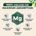 Magnesium Glycinate 1000mg - Chelated Magnesium for Bone Muscle Nerves & Heart Health Support 500mg Per Capsule for Ultra Absorption Natures Sleep Support Best Mag Supplement Pill - 120 Capsules 120 Count (Pack of 1) - Buy Online on GoSupps.com