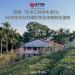 TTC TTES No.21 (Honyun) Large-Leaf Black Tea 150g 4 Taiwan Black Tea - Buy Online on GoSupps.com