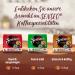 Senseo Coffee Pads Variety Pack - 66 Pods 5 Delicious Flavors - Sample Box for International Shipping - Buy Online on GoSupps.com