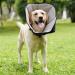 Roll Ruff Dog Leak Protection Collar - Adjustable Soft Tape Breathable & Eco-Friendly Black XL - Buy Online on GoSupps.com