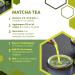ERBOTECH BIO Matcha Tea 200g - Organic Japanese Green Powder - 100% Natural & Vegan - Ideal for Cakes, Smoothies, Iced Tea - Buy Online on GoSupps.com