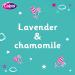 Calpol Vapour Plug Nightlight Lavender Chamomile 3+ Months - 3 Refills (Blue Light) - Buy Online on GoSupps.com