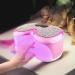 LED Nail Lamp - Flexible Nail Polish Lamp | Nail Phototherapy Lamp | LED Fast Curing Gel Nail | UV Nail Dryer | LED Nail Curing Lamp For Gel Polish curing Every Time - Buy Online on GoSupps.com