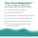 PURE SYNERGY Vital Ocean Magnesium | Organic Magnesium Supplement Capsules | Vegan Seaweed-Based Complex with Spirulina Chlorella & Wakame | for Energy Sleep & Stress (60 Capsules) - Buy Online on GoSupps.com