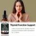 Actora Thyroid Support Drops with Selenium Zinc Iodine L-Tyrosine Ashwagandha Energy Supplement - 4 fl oz (1pcs) - Buy Online on GoSupps.com